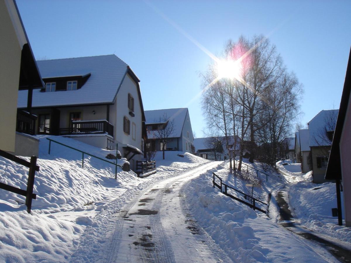 Theater- Und Feriendorf Koenigsleitn Gmbh Hotel Litschau Kültér fotó